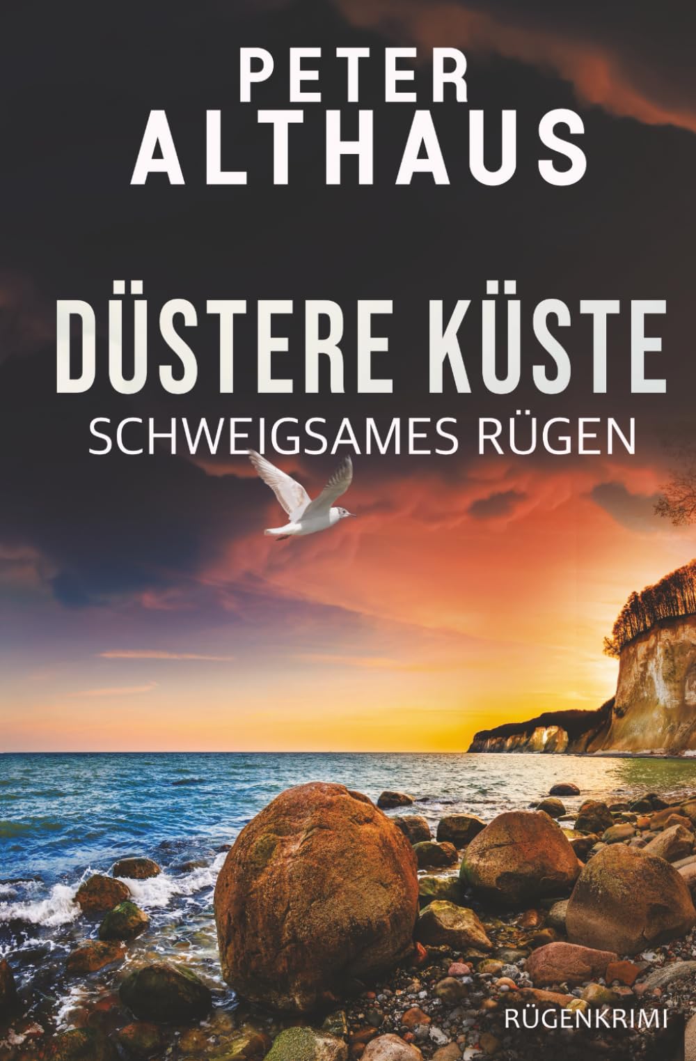 Düstere Küste: Schweigsames Rügen (Ostsee-Krimis: Marc Ahrens ermittelt, Band 2) Detective & CSI