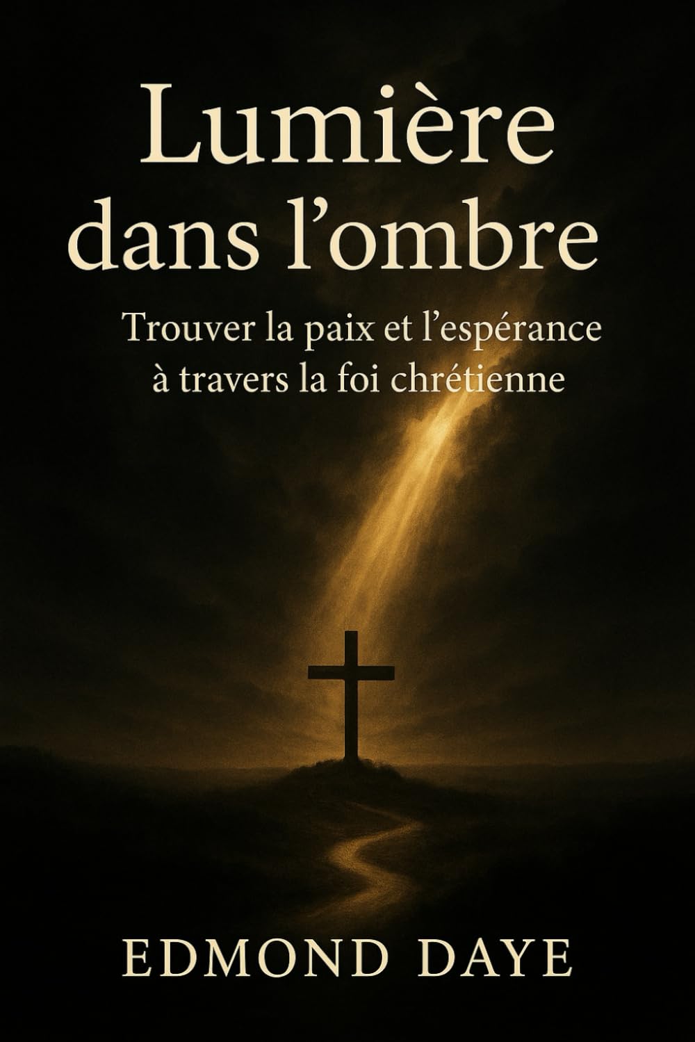 Lumière dans l'ombre : trouver la paix et l'espérance à travers la foi chrétienne book