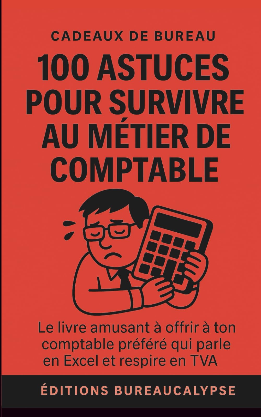 100 Astuces pour survivre au métier de comptable: Le livre amusant à offrir à ton comptable préféré qui parle en Excel et respire en TVA Business, Finance & Career