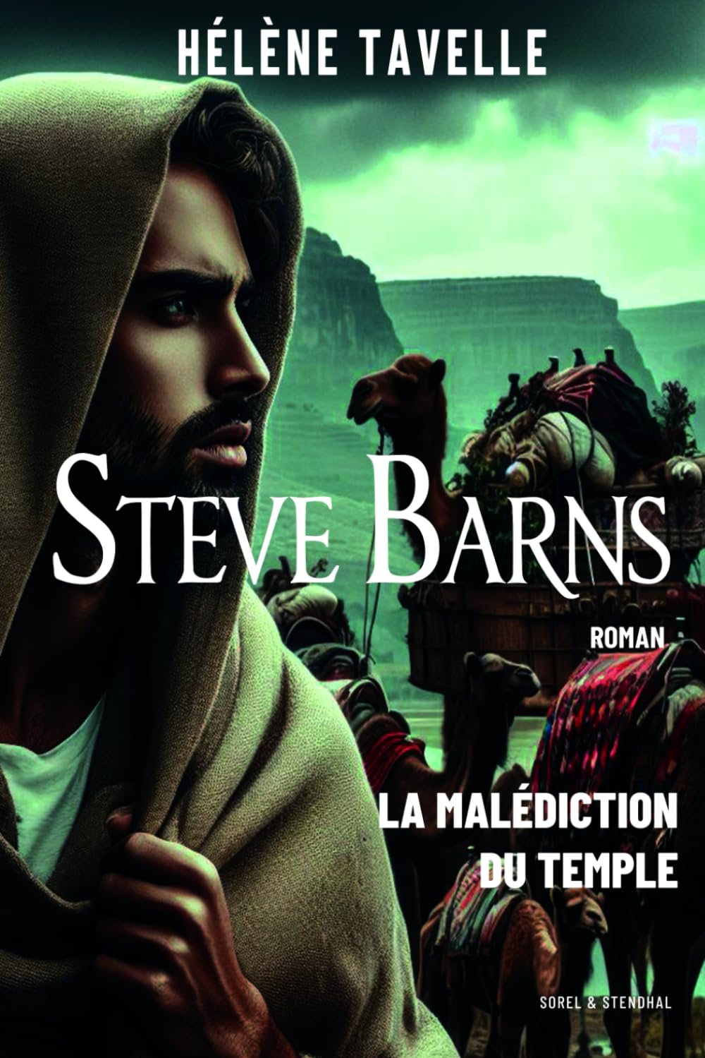 Steve Barns: La Malédiction du Temple book