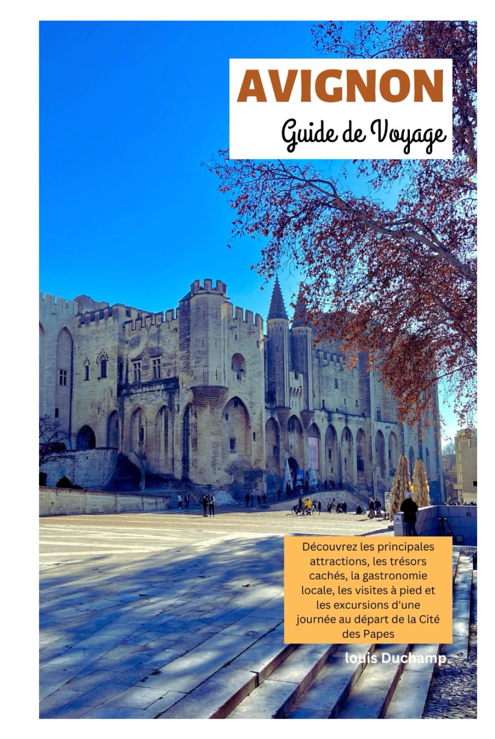 Avignon Guide de Voyage: Découvrez les principales attractions, les trésors cachés, la gastronomie locale, les visites à pied et les excursions d'une journée au départ de la Cité des Papes book