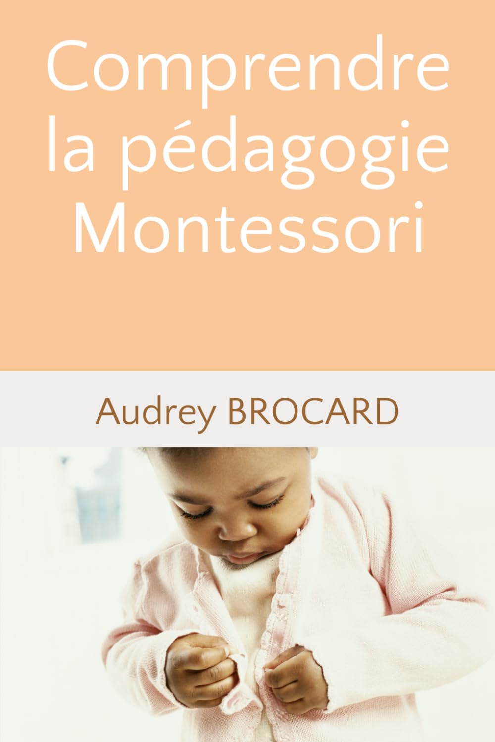 Comprendre la pédagogie Montessori book