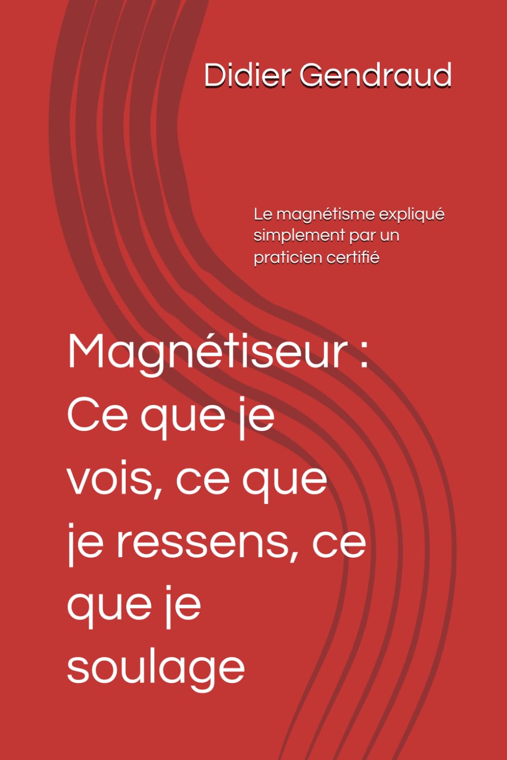 Magnétiseur : Ce que je vois, ce que je ressens, ce que je soulage: Le magnétisme expliqué simplement par un praticien certifié book