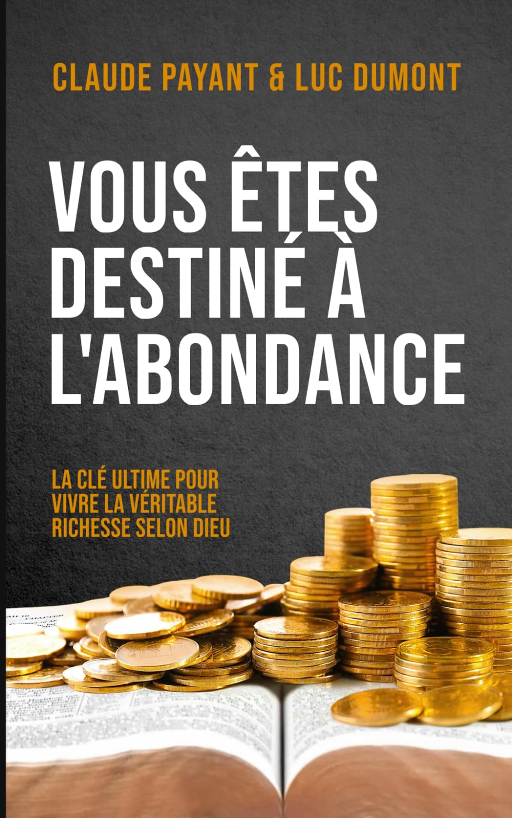 Vous êtes destiné à l'abondance: La clé ultime pour vivre la véritable richesse avec Dieu book