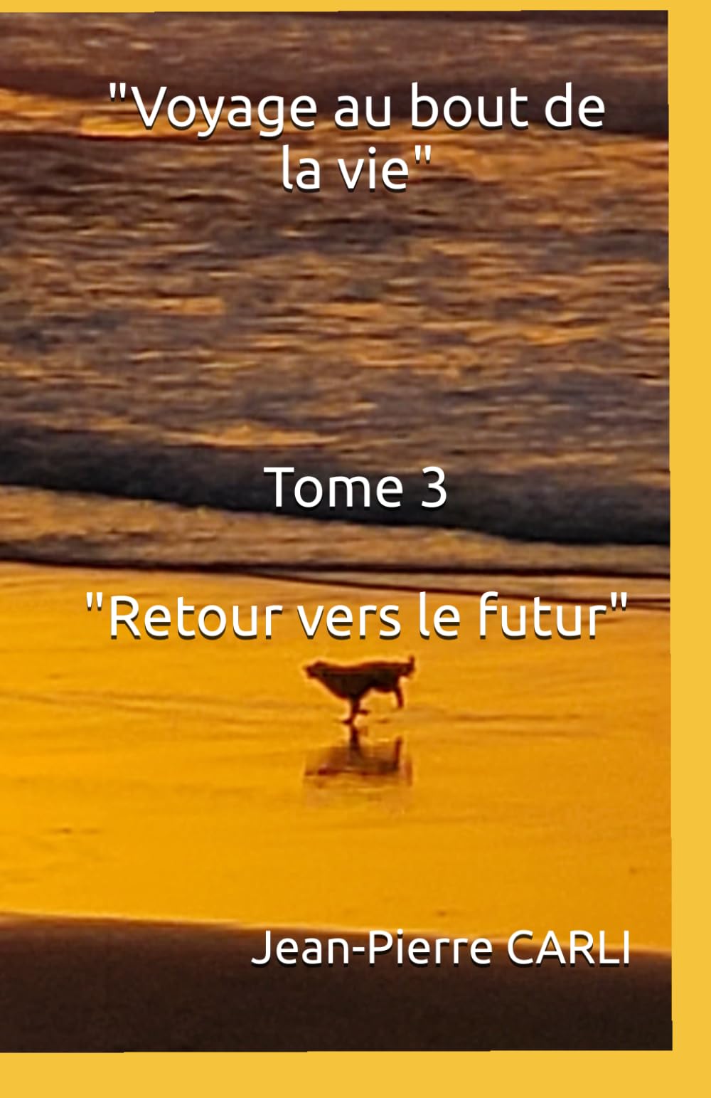 "Voyage au bout de la vie" - Tome 3: "Retour vers le futur" book