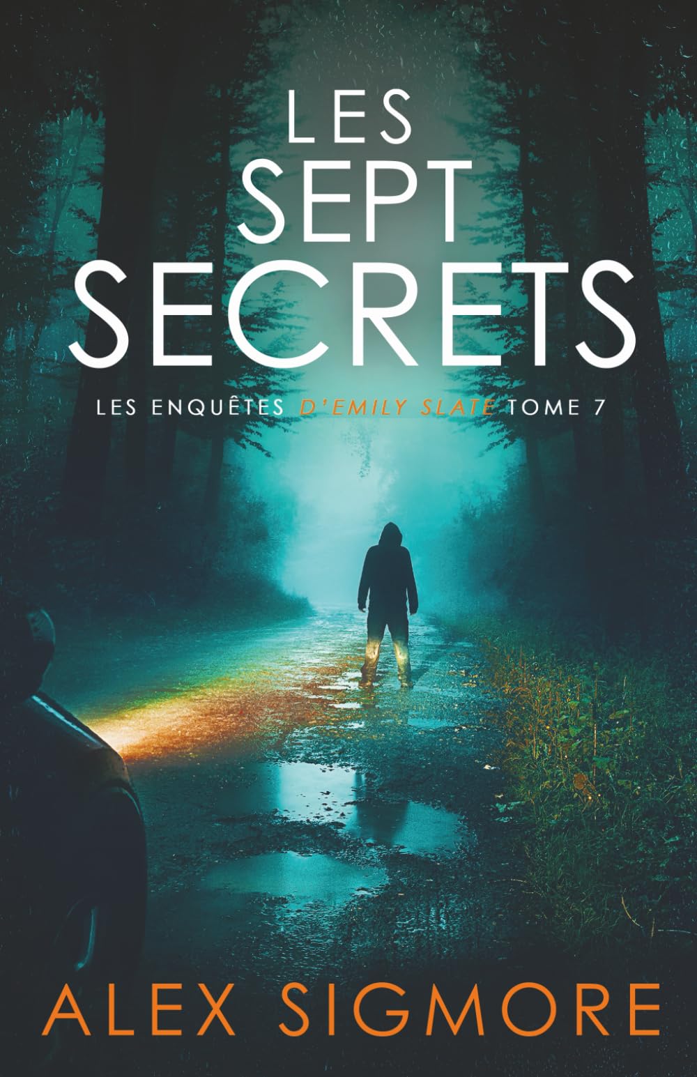 Les Sept Secrets (Les Enquêtes d'Emily Slate, Band 7) Detective & CSI