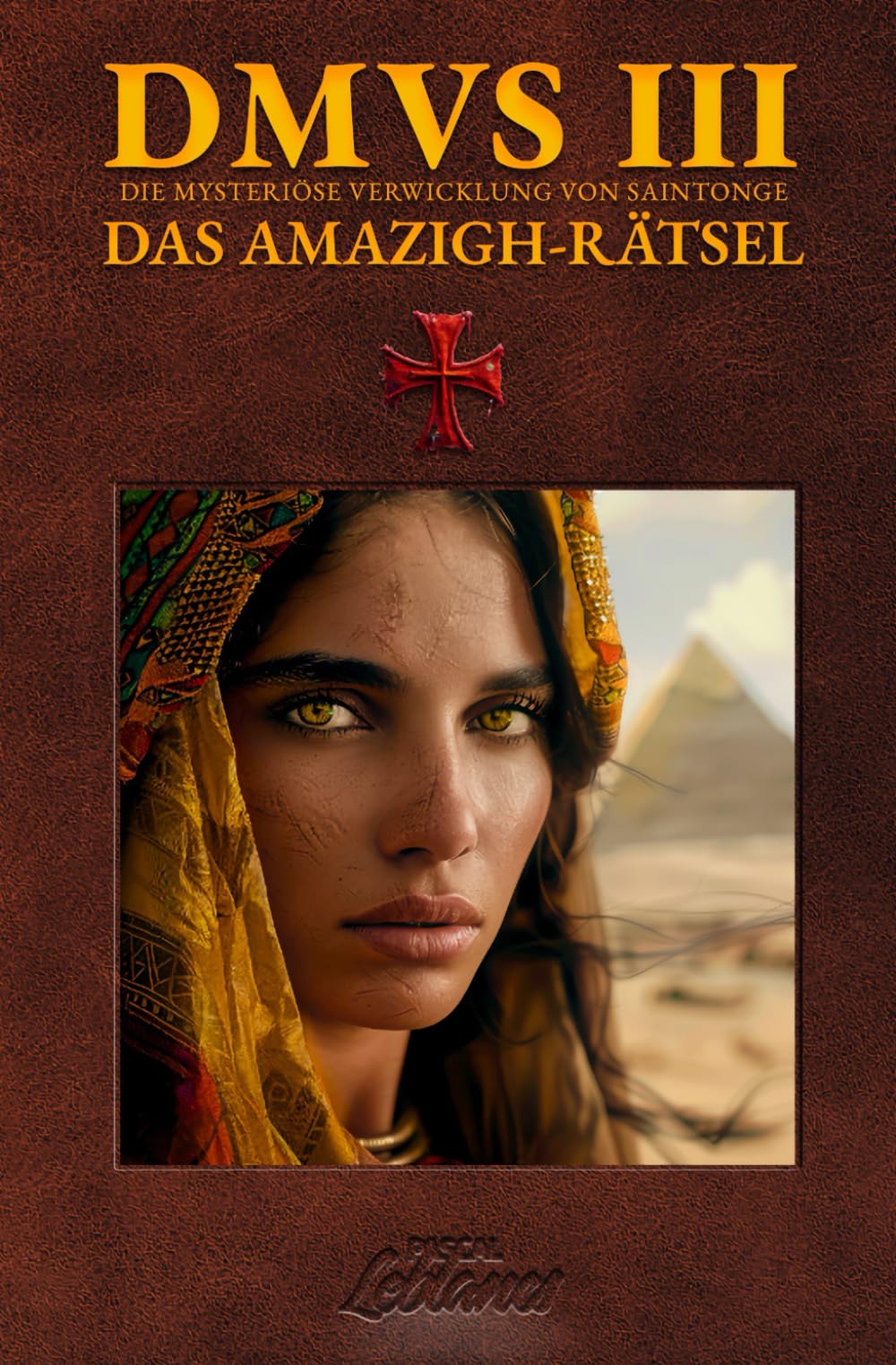 DMVS 3 - Das Amazigh-Rätsel: "An den Ursprüngen der Menschheit" book