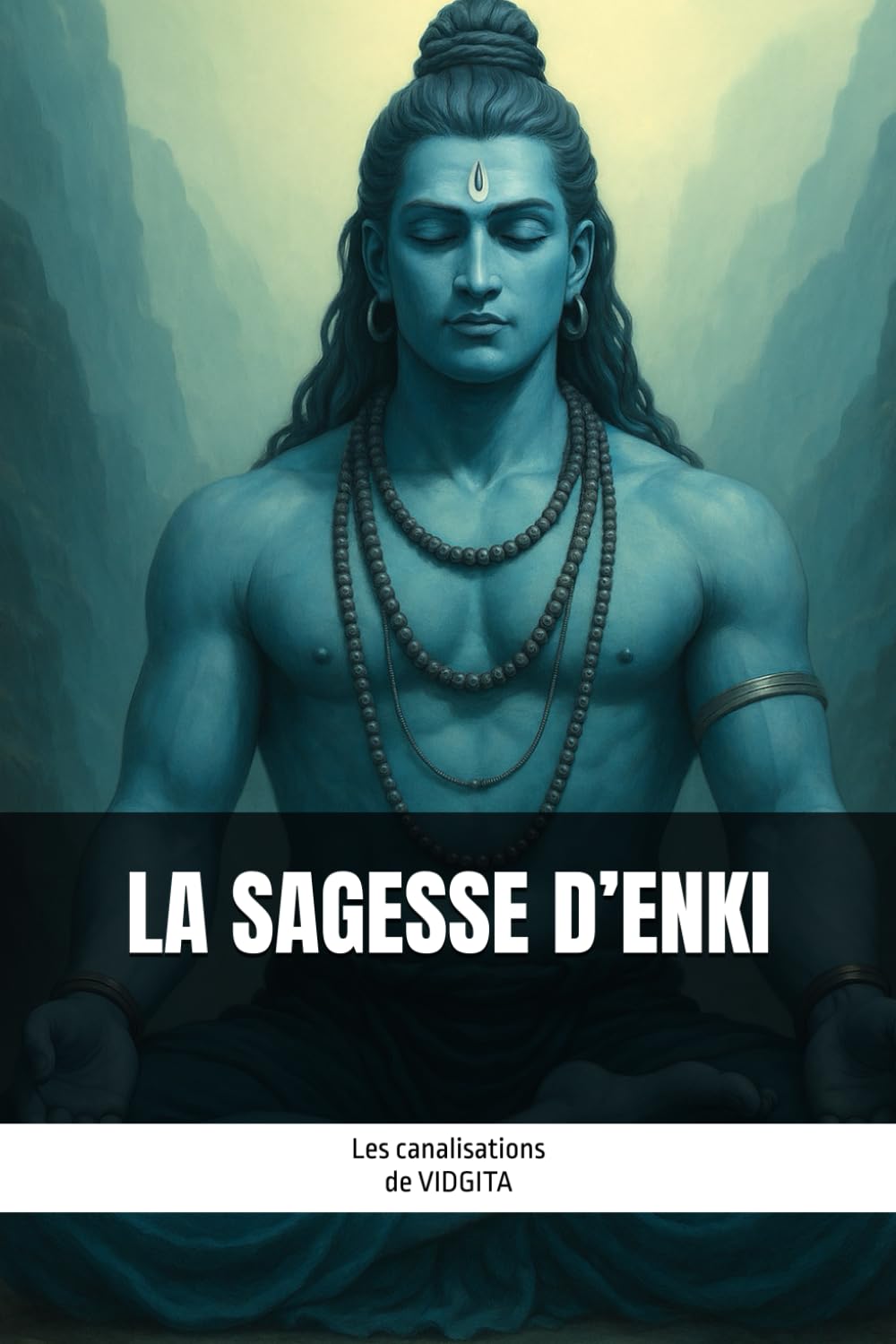 LA SAGESSE D’ENKI: Les canalisations de Vidgita book