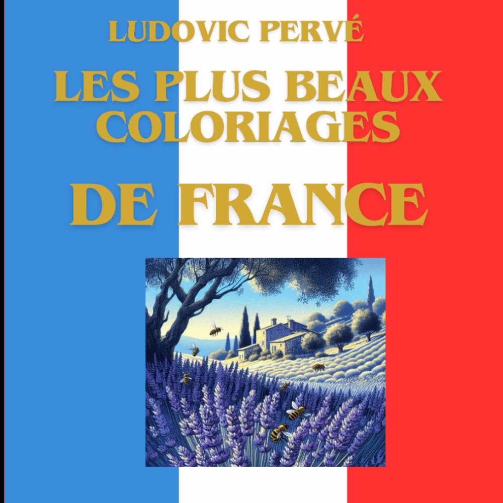 LES PLUS BEAUX COLORIAGES DE FRANCE book