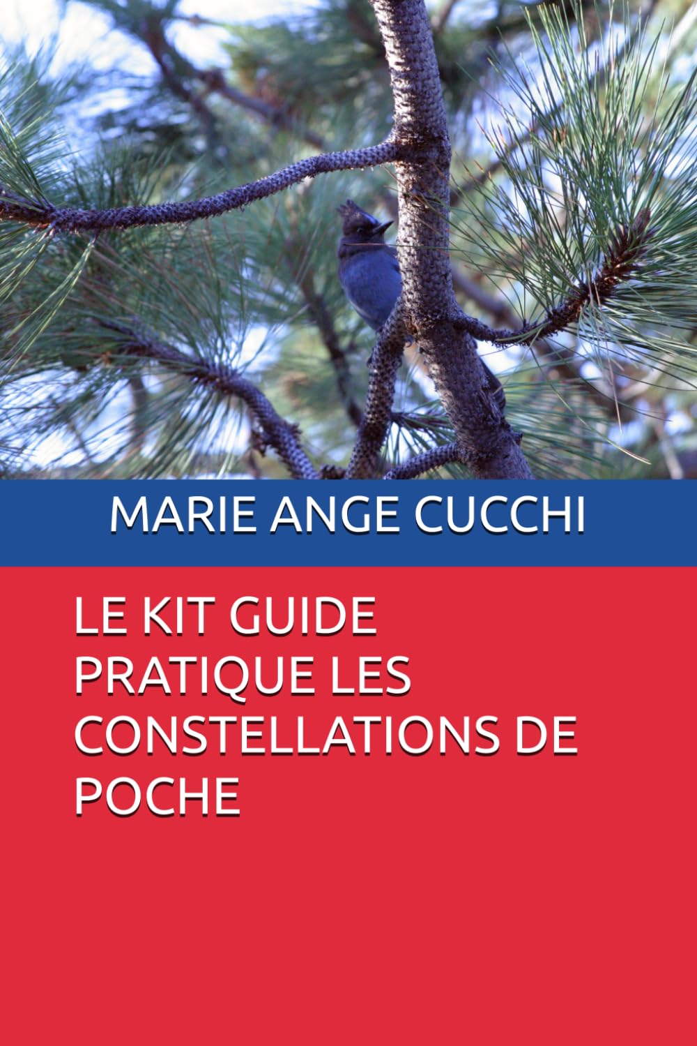 LE KIT GUIDE PRATIQUE LES CONSTELLATIONS DE POCHE book