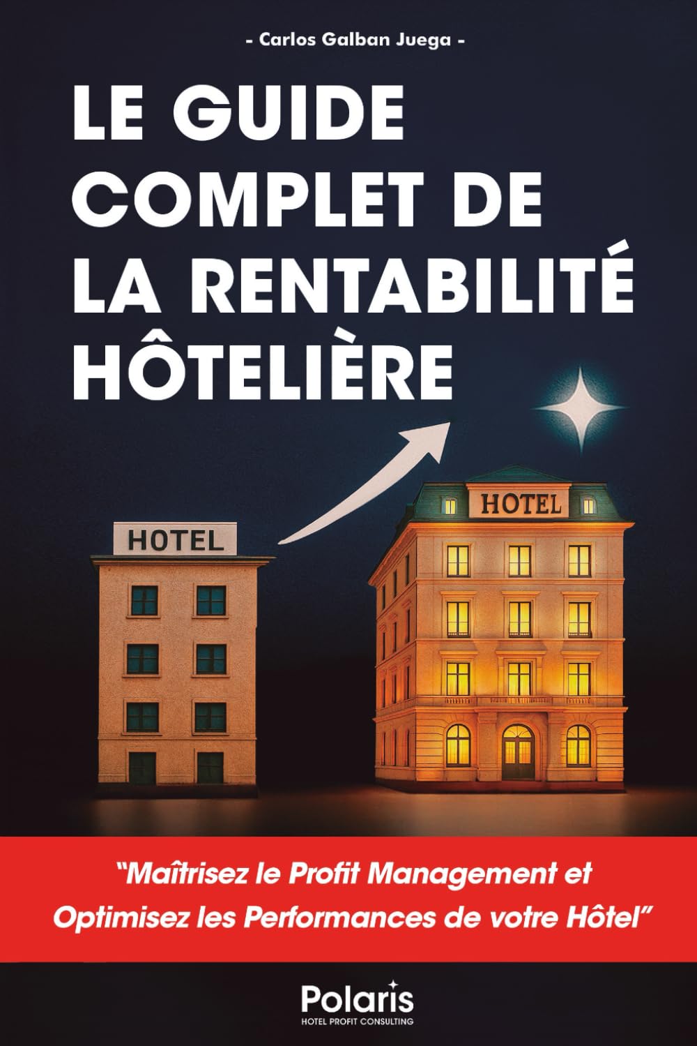 Le Guide Complet de la Rentabilité Hôtelière: Maîtrisez le Profit Management et optimisez les performances de votre hôtel. book