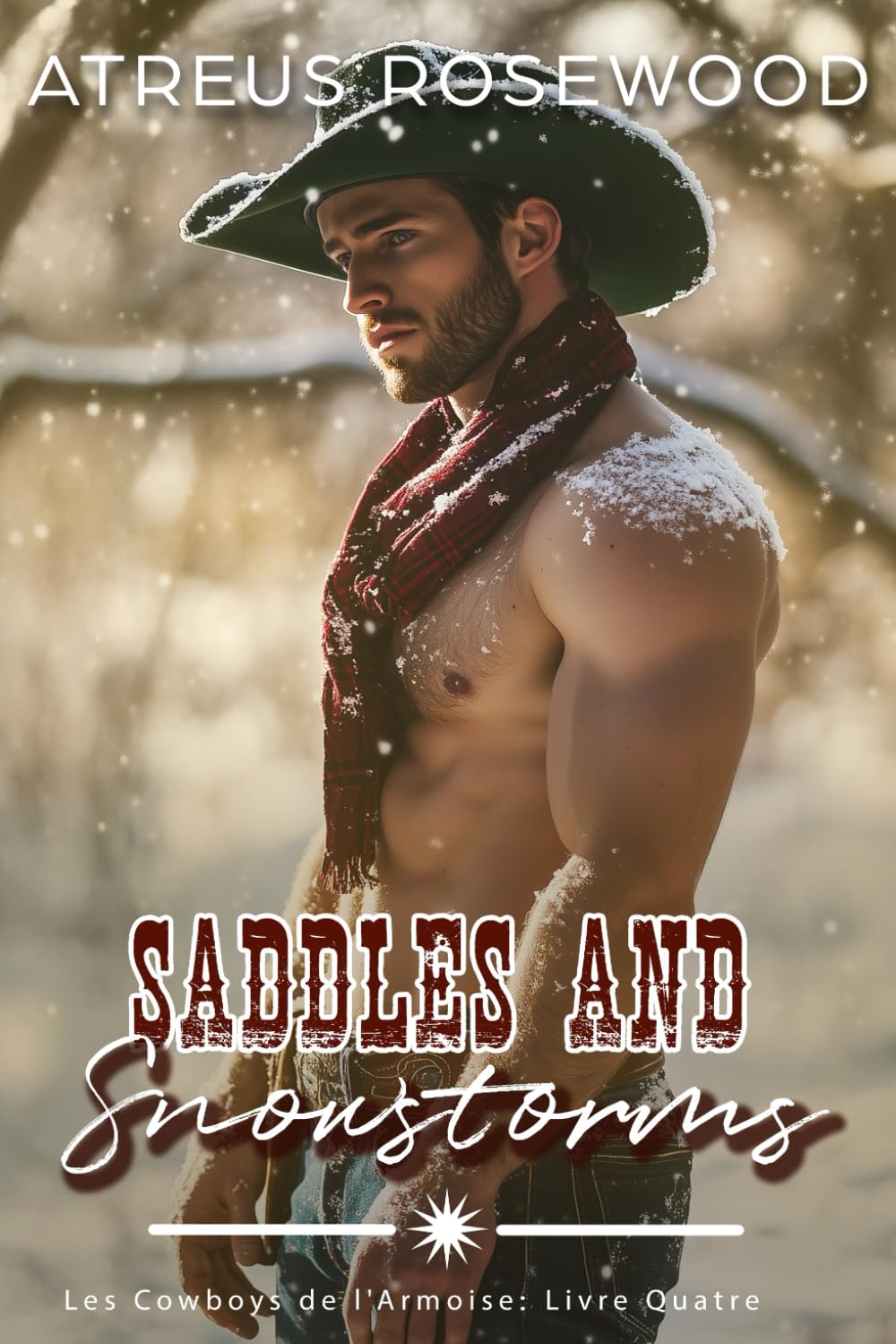 Saddles and Snowstorms (version française): Une romance de cowboy gay book