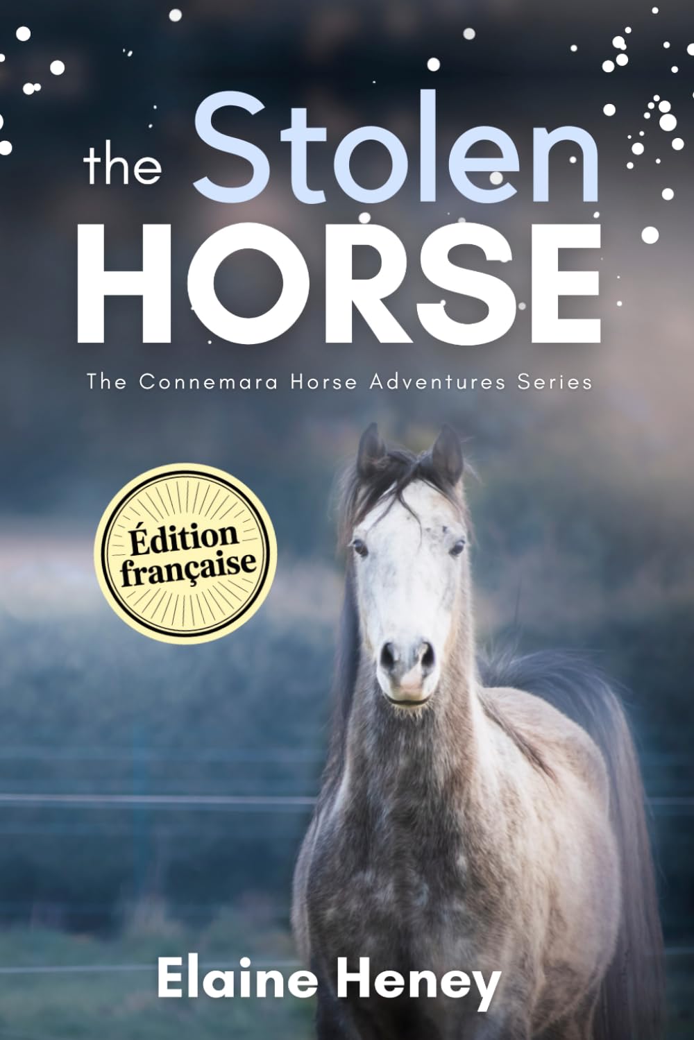 The Stolen Horse - Édition Française: The Connemara Horse Adventures Series book