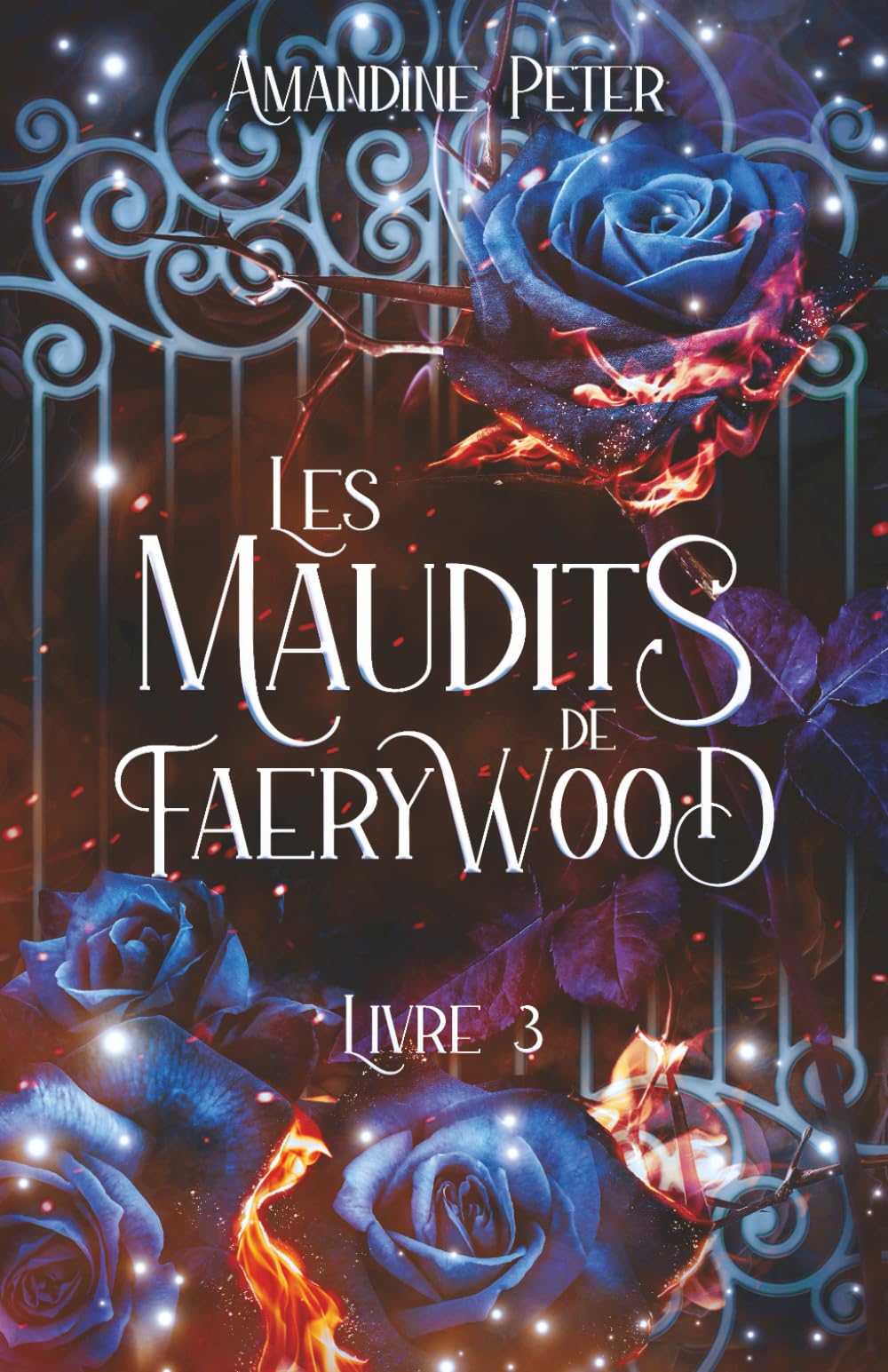Les Maudits de Faerywood, Livre 3 Suspense & Thrillers