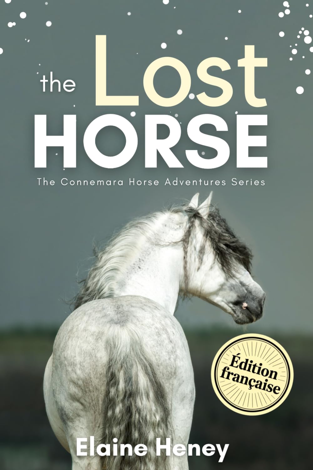 The Lost Horse - Édition Française: The Connemara Horse Adventures Series book