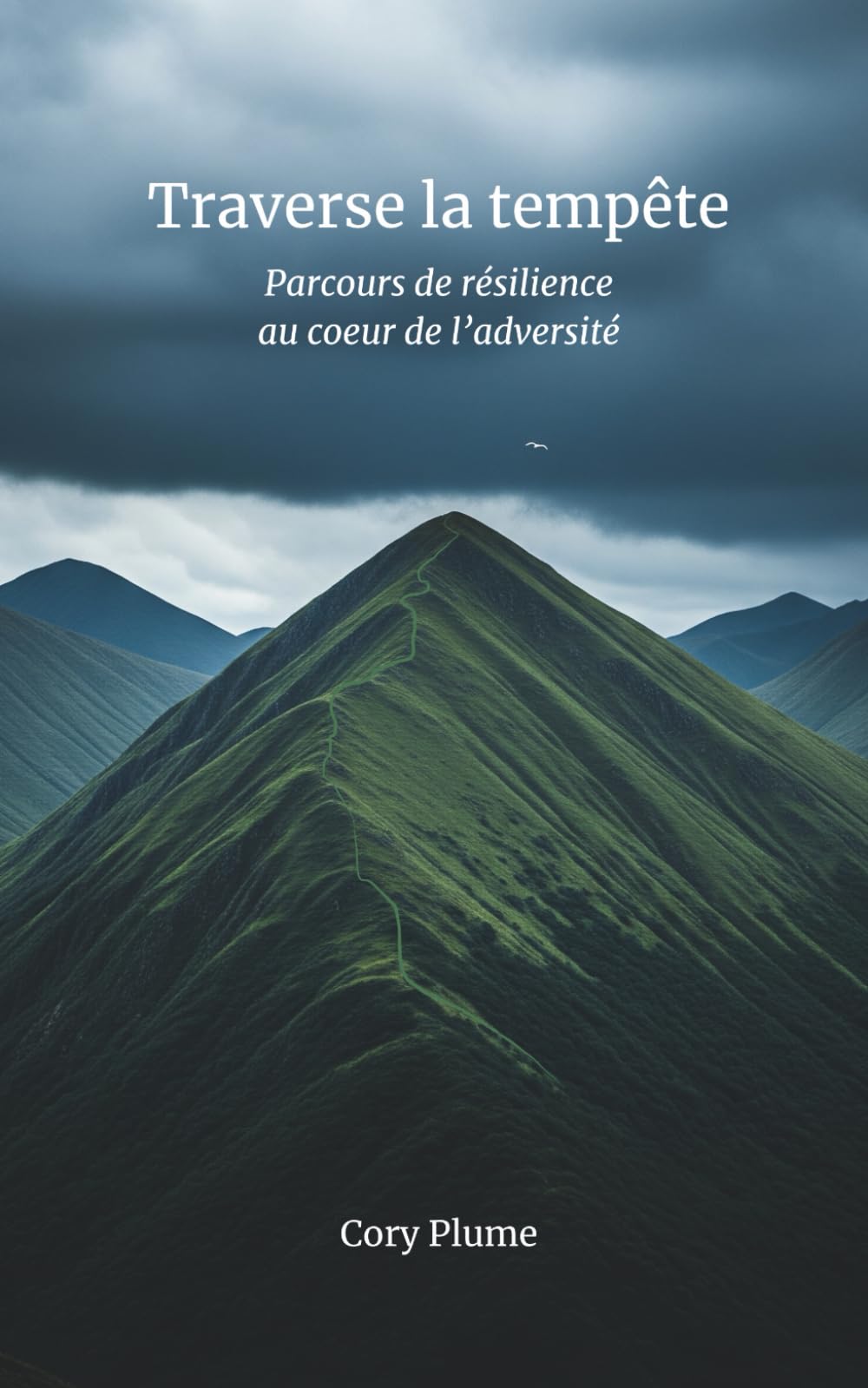 Traverse la tempête: Parcours de résilience au coeur de l'adversité book