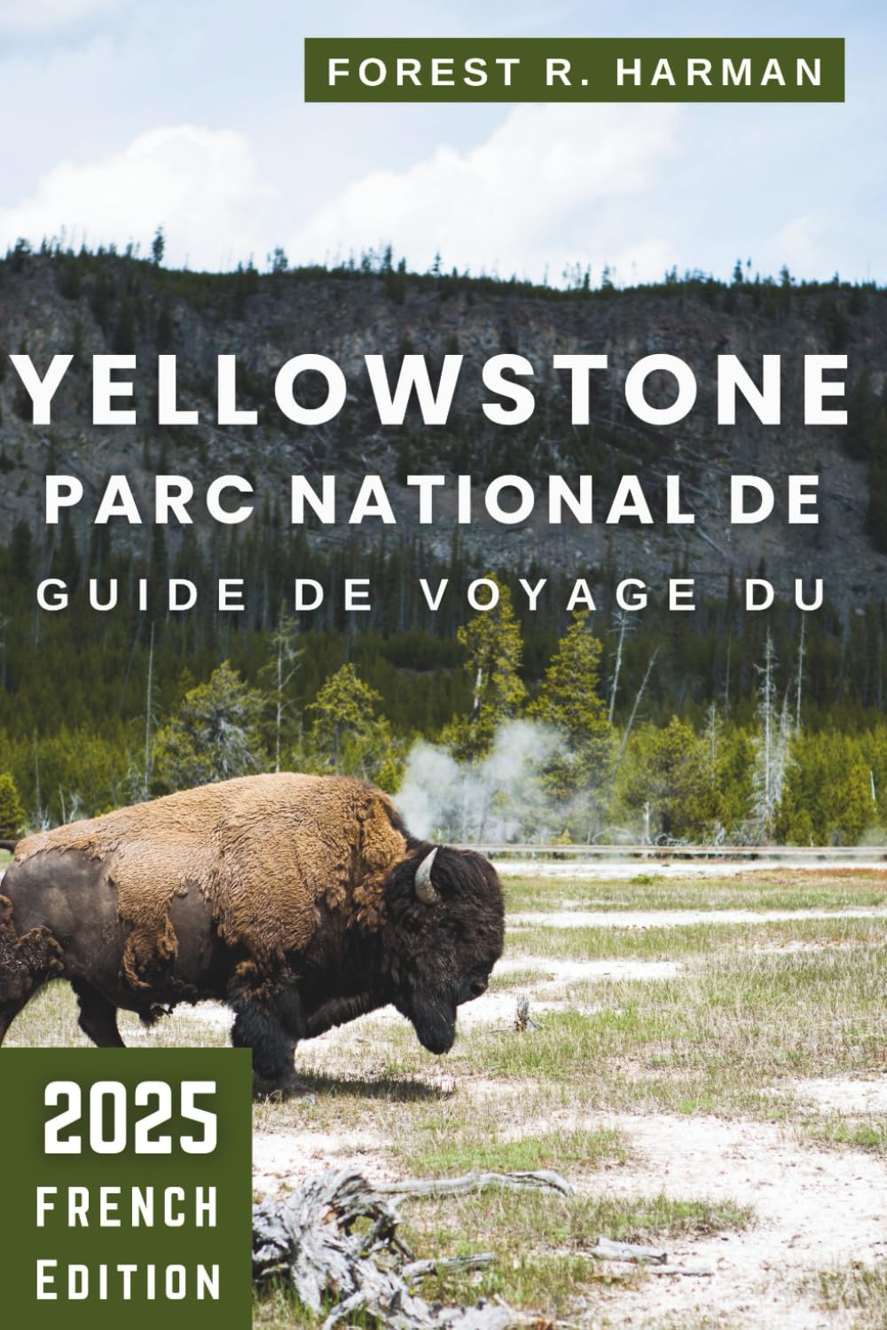 GUIDE DE VOYAGE DU PARC NATIONAL DE YELLOWSTONE 2025: Randonnées, hébergement, faune, routes panoramiques, conseils locaux et itinéraires experts pour ... sûr et mémorable (Guides de voyage locaux) Hiking & Cycling Books
