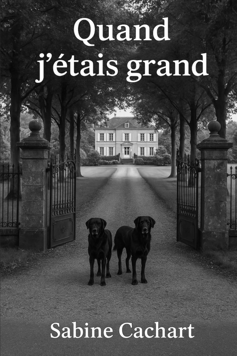 Quand je serai grand book