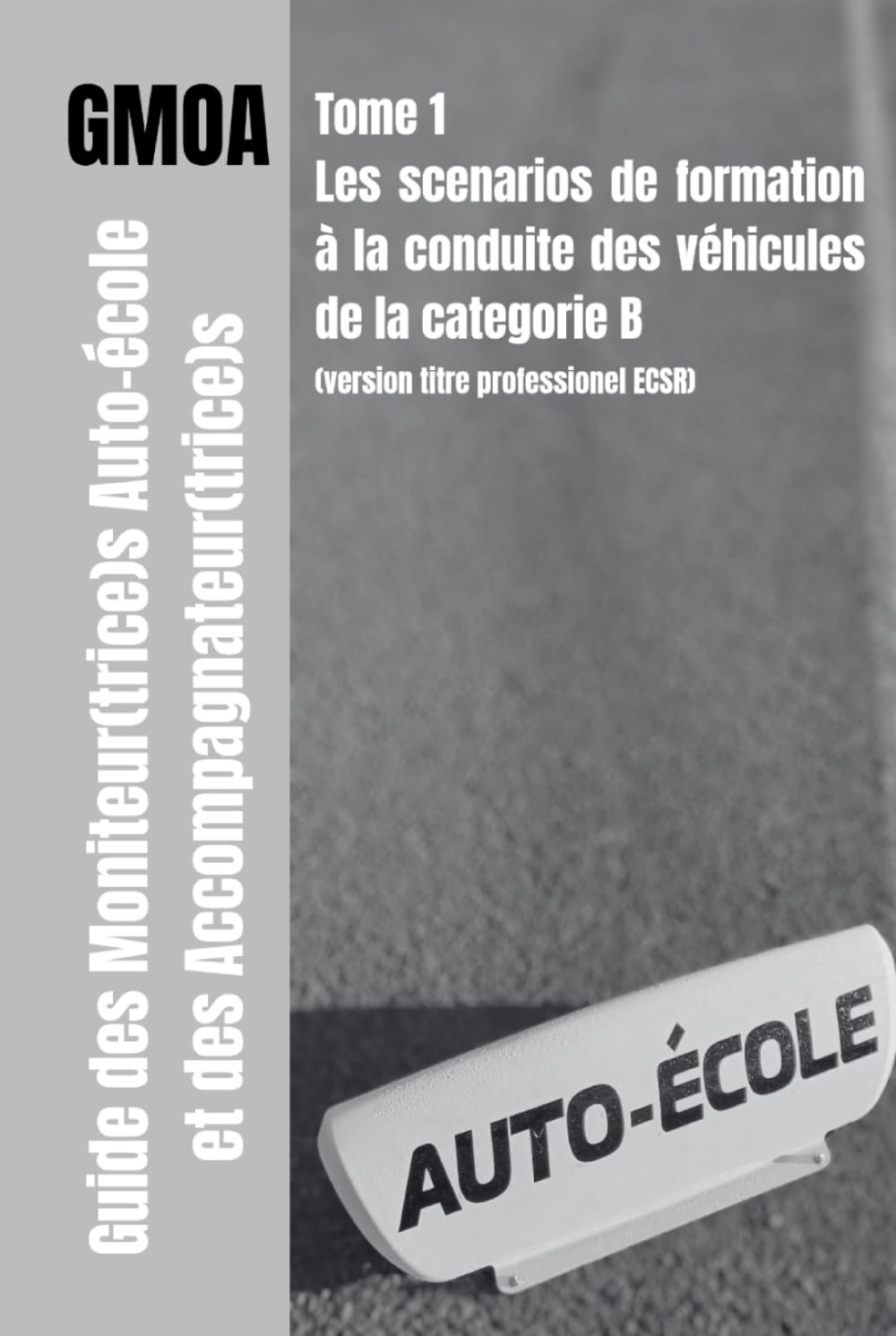 Guide des moniteur(trice)s auto-école et des accompagnateur(trice)s (VERSION NOIR ET BLANC): Scenarios de 35 séquences d'enseignement sur véhicule léger book