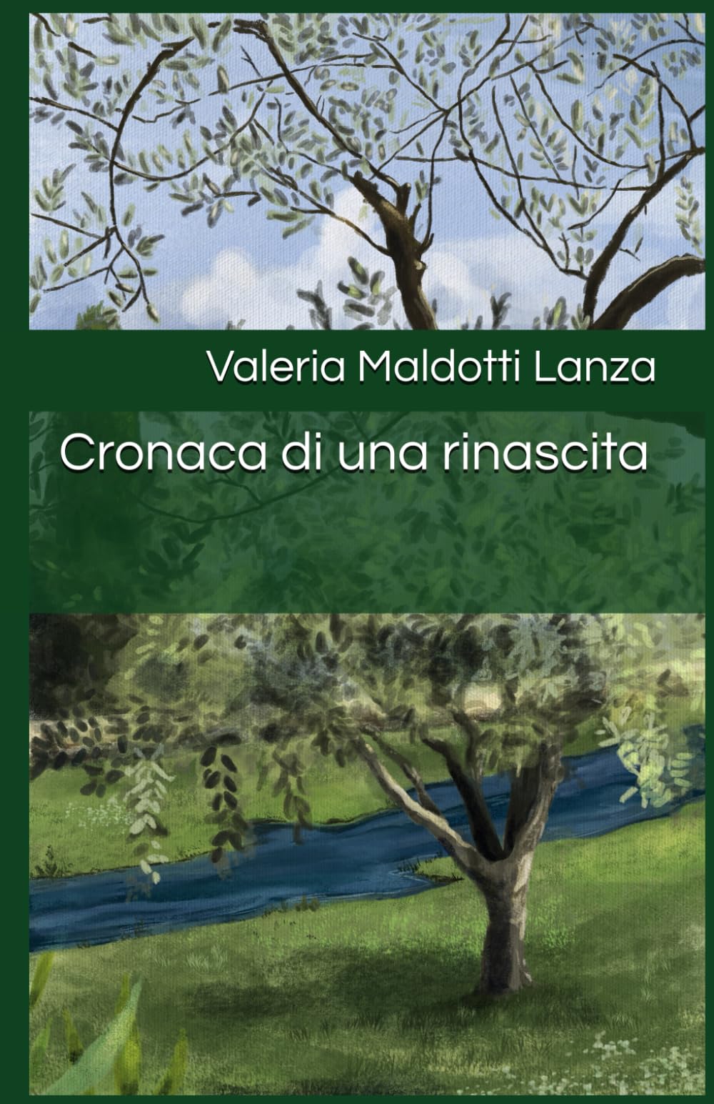 Cronaca di una rinascita book