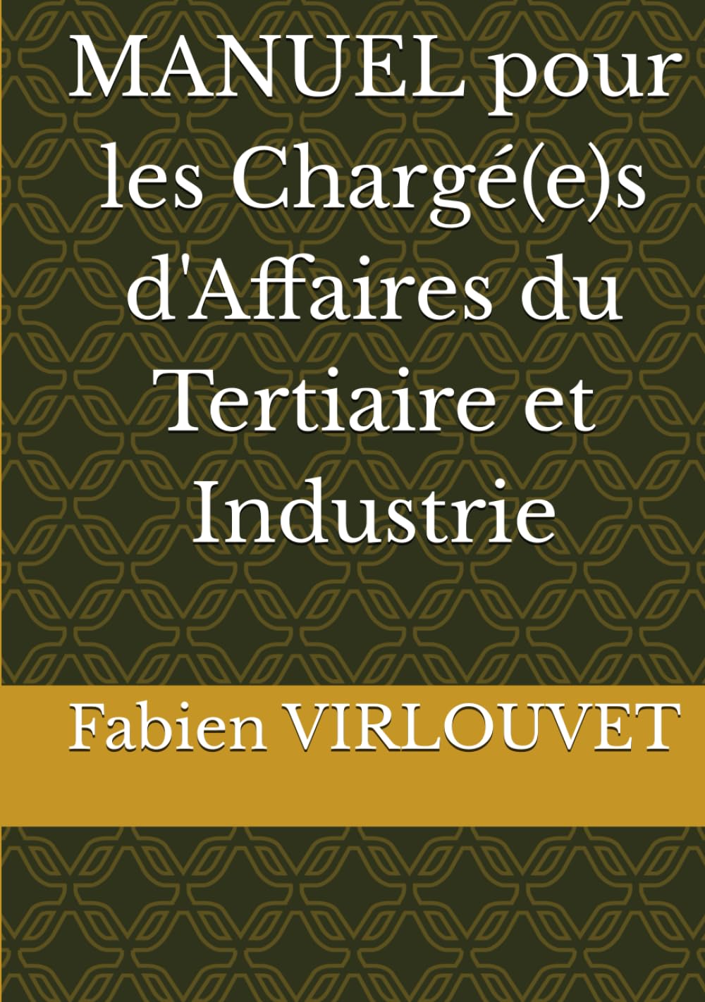 MANUEL DE MANAGEMENT ET GESTION D’AFFAIRES book