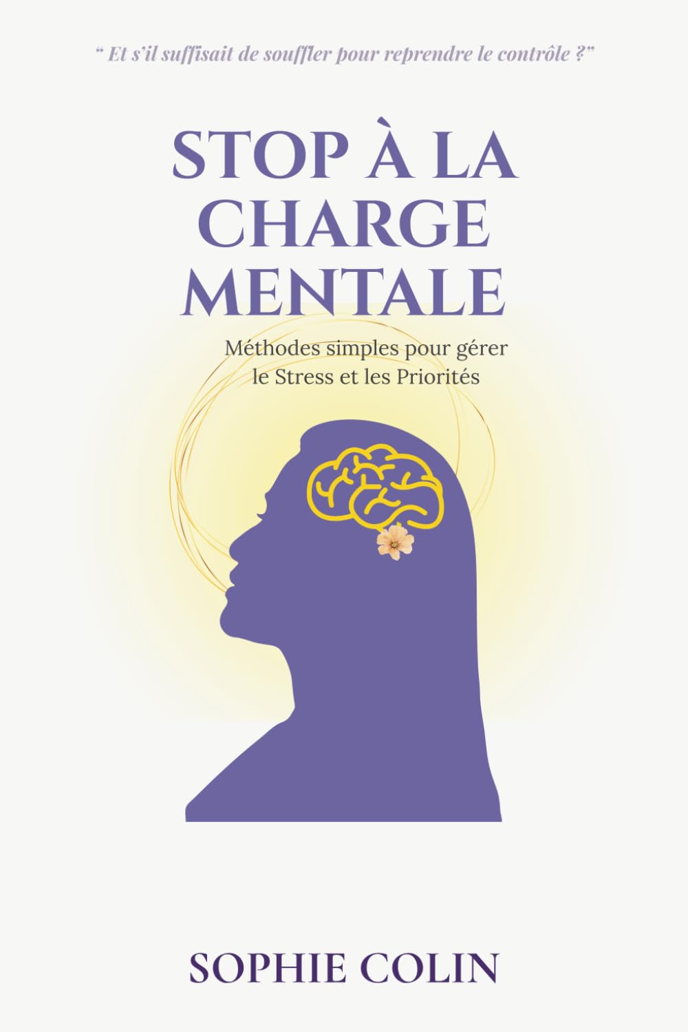 STOP à la Charge Mentale : méthodes simples pour gérer le Stress et les Priorités book