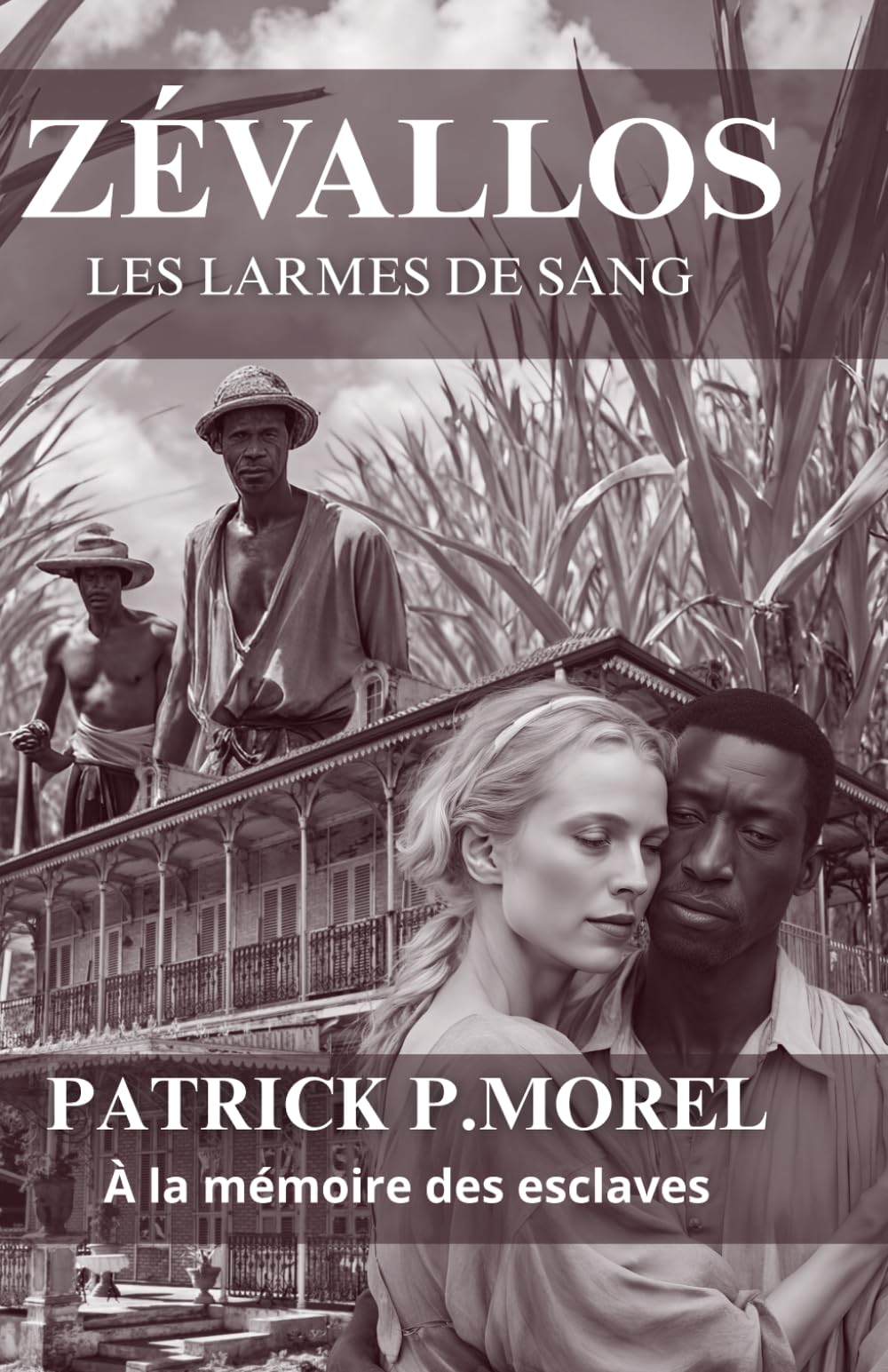 Zévallos, les larmes de sang: Roman historique sur l'esclavage en Guadeloupe Social Sciences