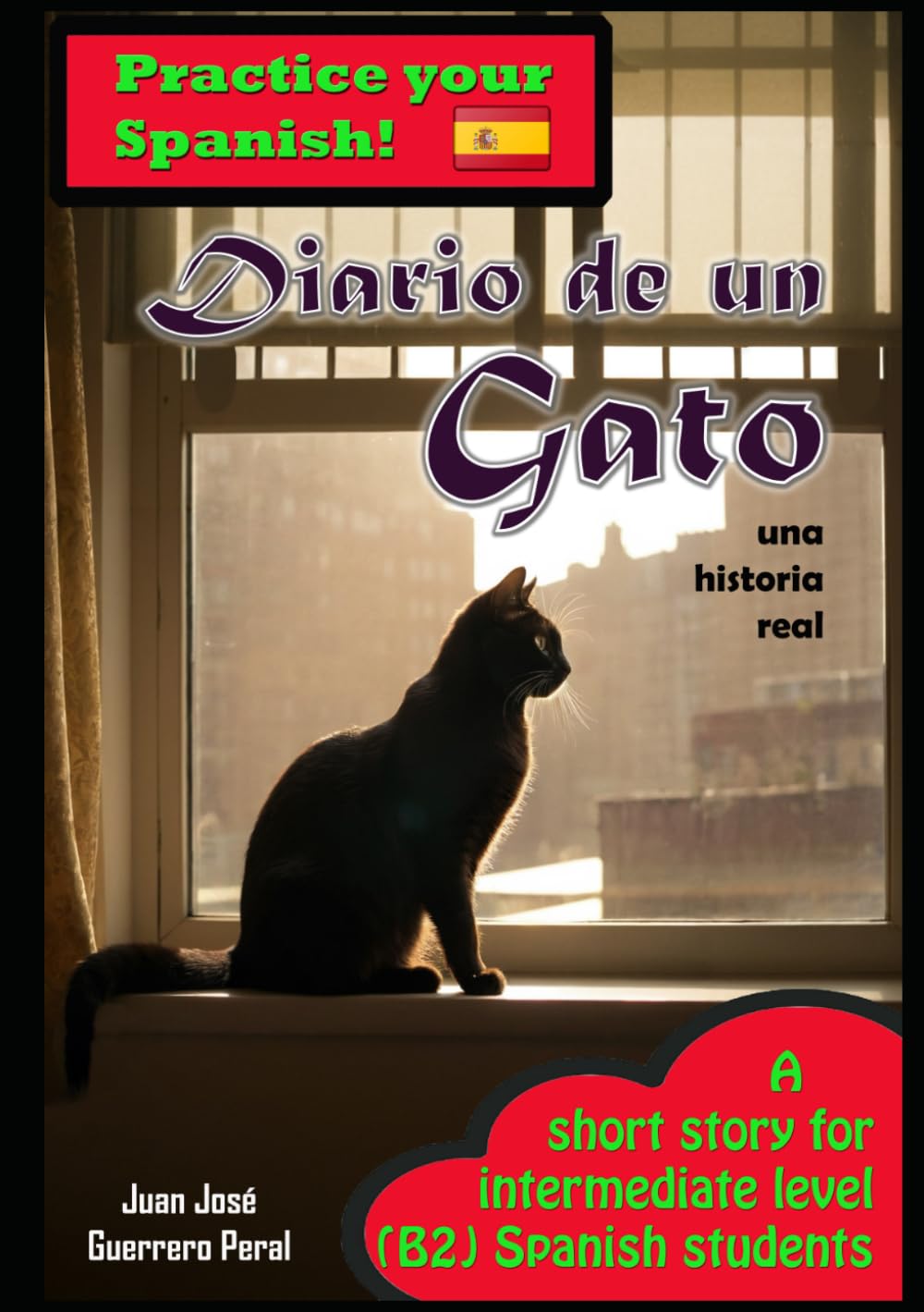 Diario de un gato: Graded Spanish Readers / español nivel intermedio B1 B2 / Lecturas graduadas para estudiantes / spanish intermediate B1 B2 level / Novel for students / Novela para estudiantes book