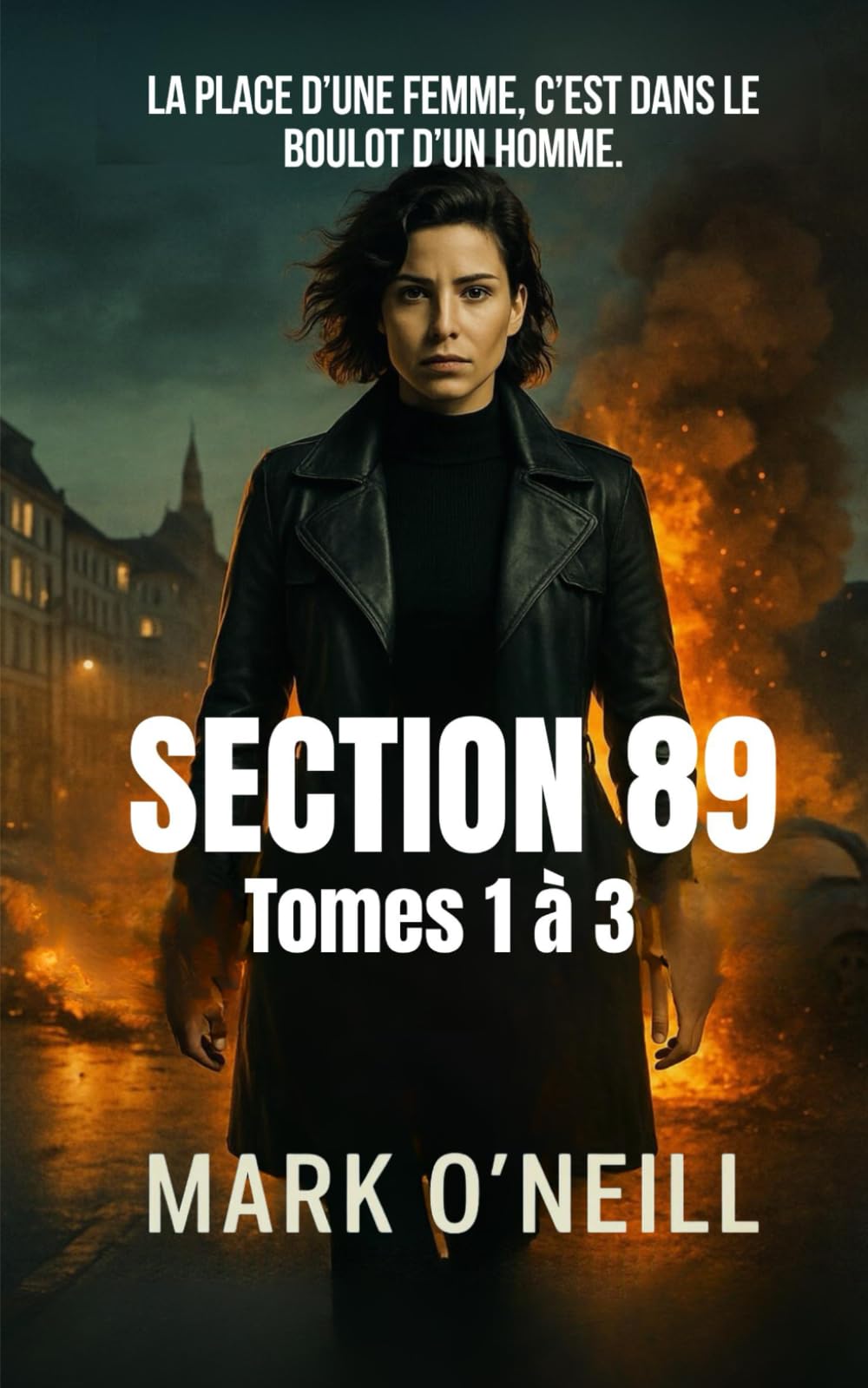 Section 89 Tomes 1 à 3 Coffret: Thriller d’espionnage à haute tension : la Section 89 ne recule devant rien. book