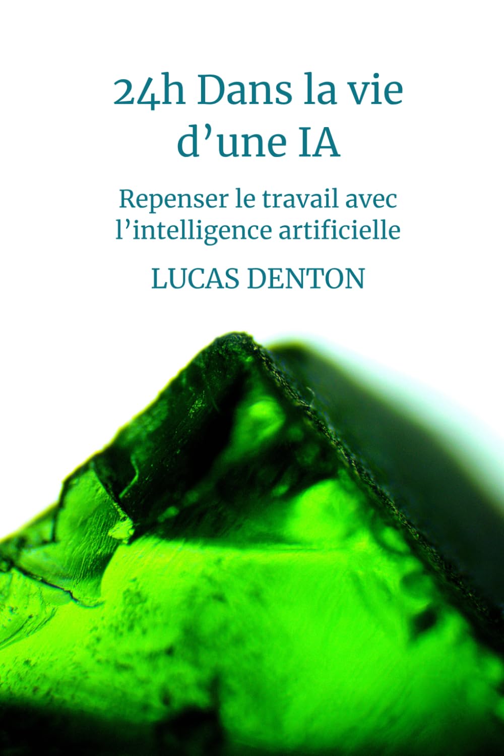 24h dans la vie d'une IA: Repenser le travail avec l’intelligence artificielle - Guide pratique humoristique pour s'adapter au futur du travail book