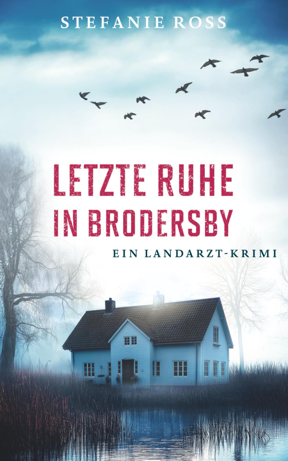 Letzte Ruhe in Brodersby: Ein Landarzt-Krimi Detective & CSI