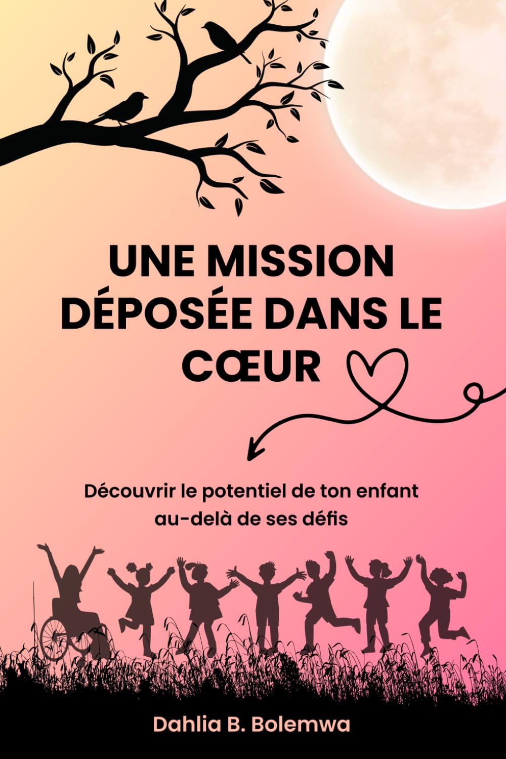 Une mission déposée dans le cœur: Découvrir le potentiel de ton enfant au-delà de ses défis book