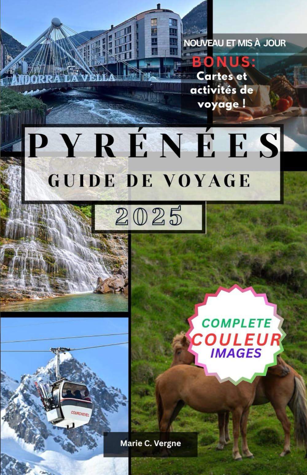 PYRÉNÉES GUIDE DE VOYAGE: Explorez la beauté, l'aventure et la culture des hautes terres du sud de la France et de l'Espagne book