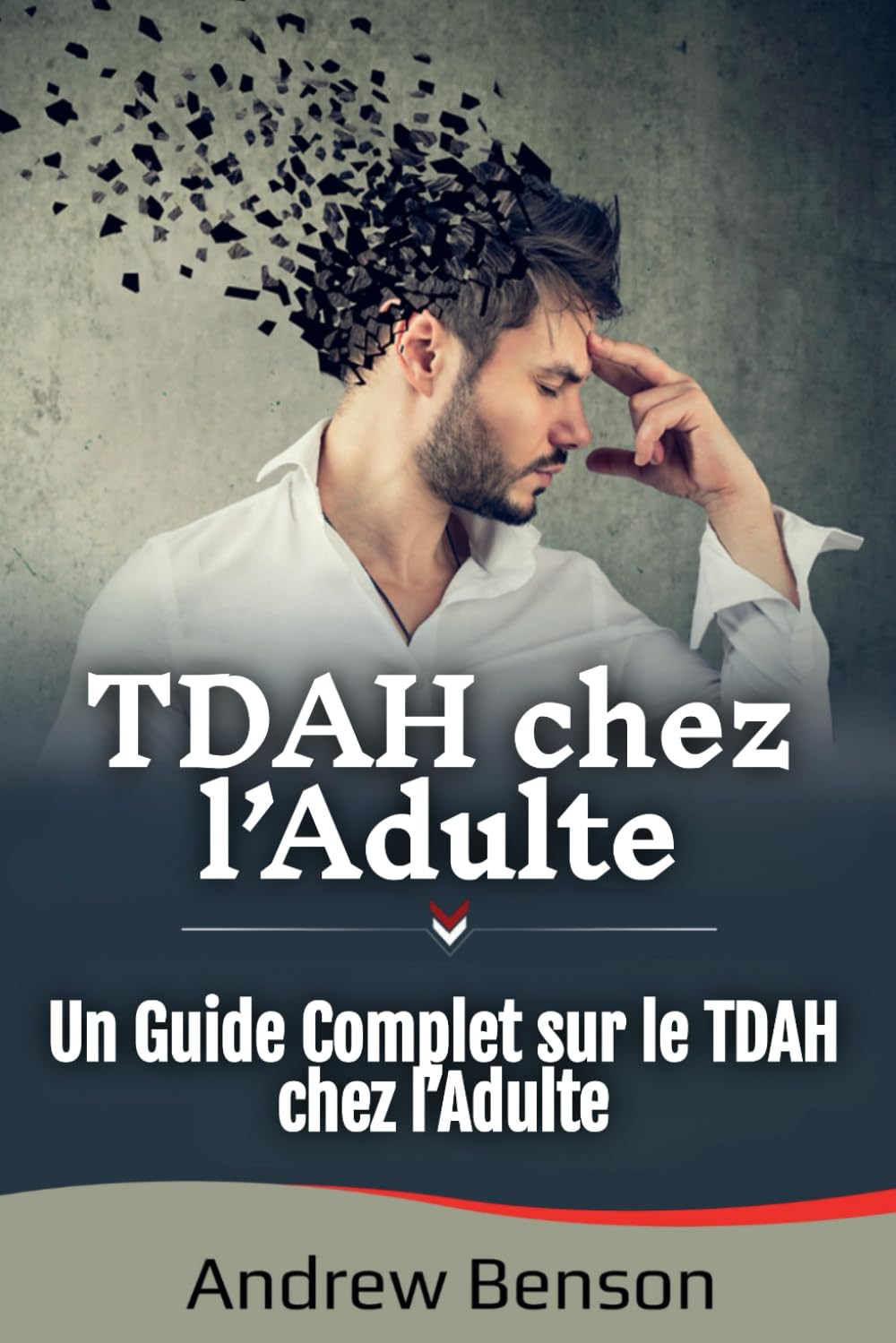 TDAH chez l’Adulte: Un Guide Complet sur le TDAH chez l’Adulte book