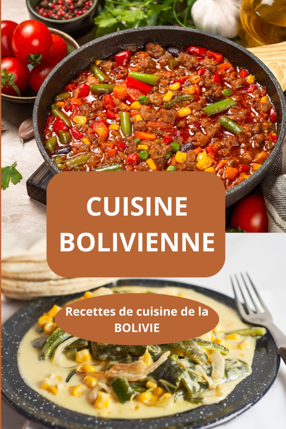 CUISINE BOLIVIENNE: Recettes de cuisine de la BOLIVIE - recettes boliviennes traditionnelles - spécialités boliviennes book