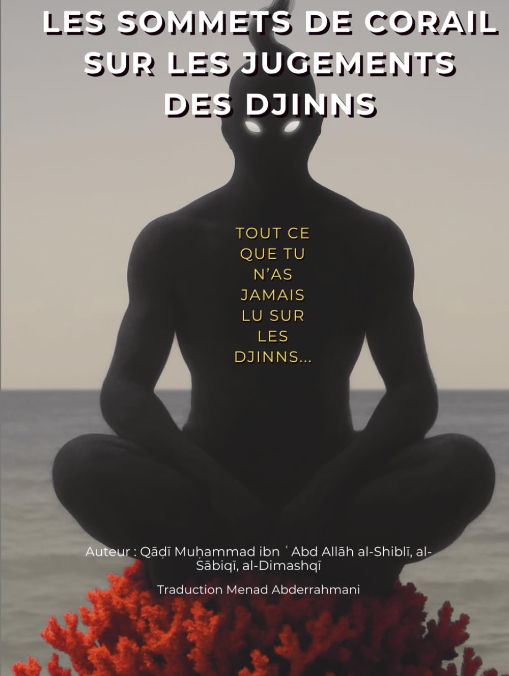 Les Sommets de Corail sur les Jugements des Djinns: tout ce que tu n’as jamais lu sur les djinns... book
