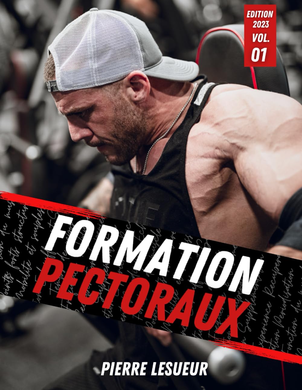Formation Pectoraux: Analyse biomécanique et stratégies d’optimisation pour les pectoraux - 36 programmes progressifs pour tous niveaux book