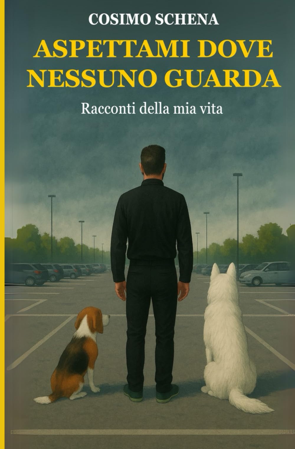 Aspettami dove nessuno guarda: Racconti della mia vita book