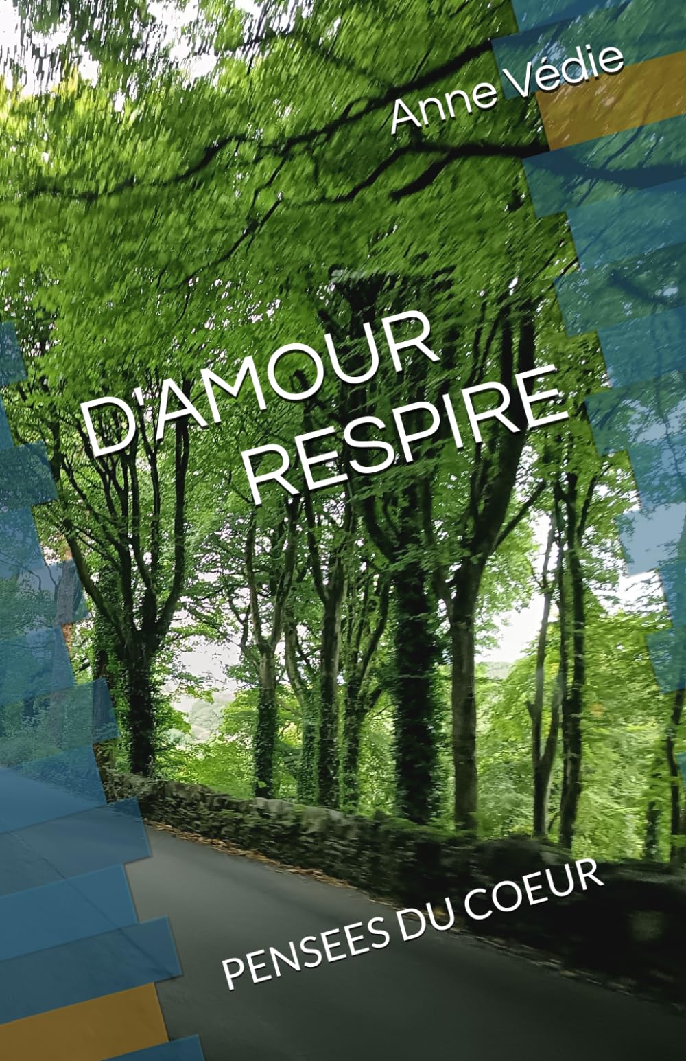 D'AMOUR RESPIRE: PENSEES DU COEUR book