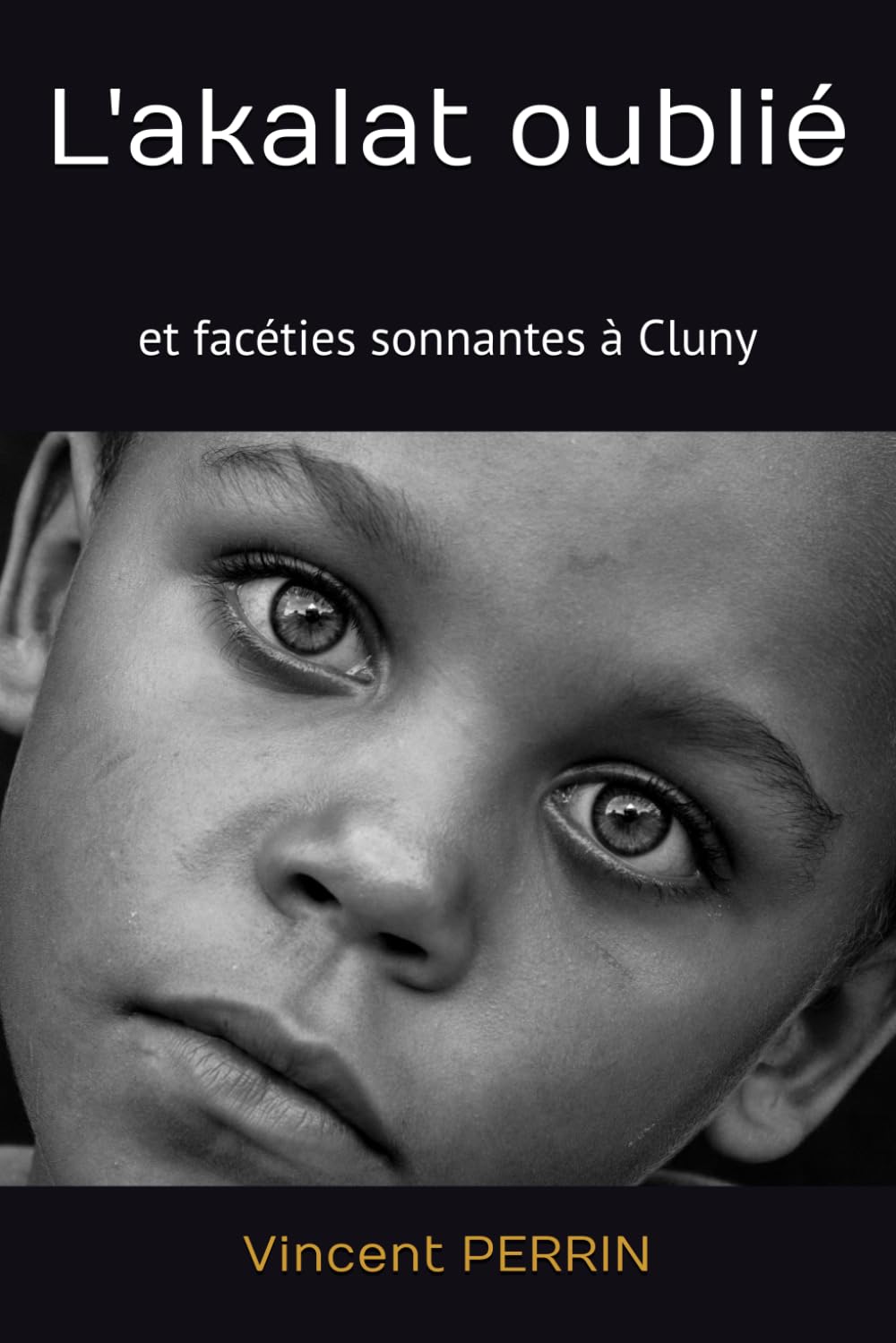 L'akalat oublié: et facéties sonnantes à Cluny book