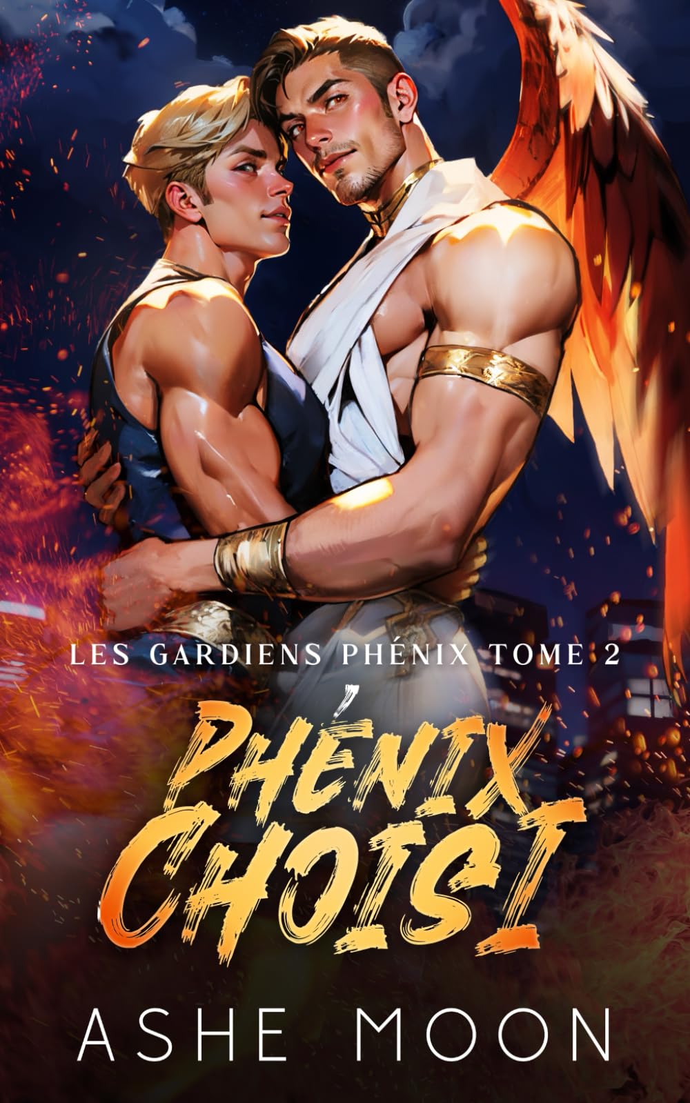 Phénix Choisi: Un Romantasy Gay Mpreg book