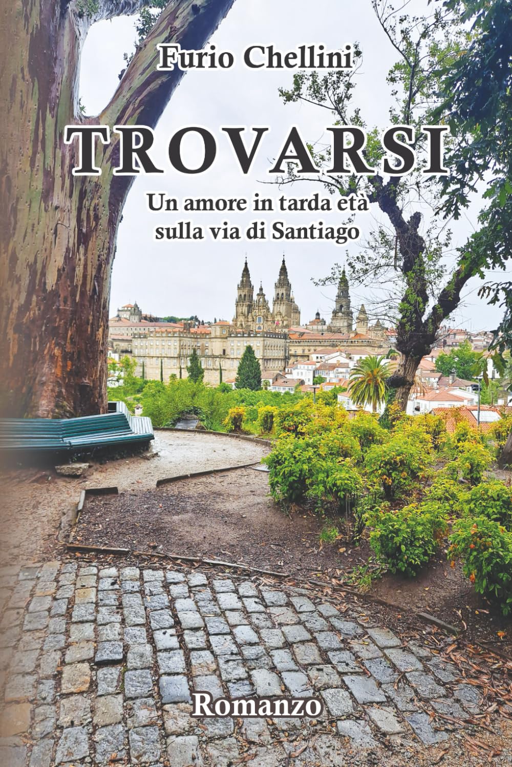 TROVARSI: Un amore in tarda età, sulla via di Santiago. book