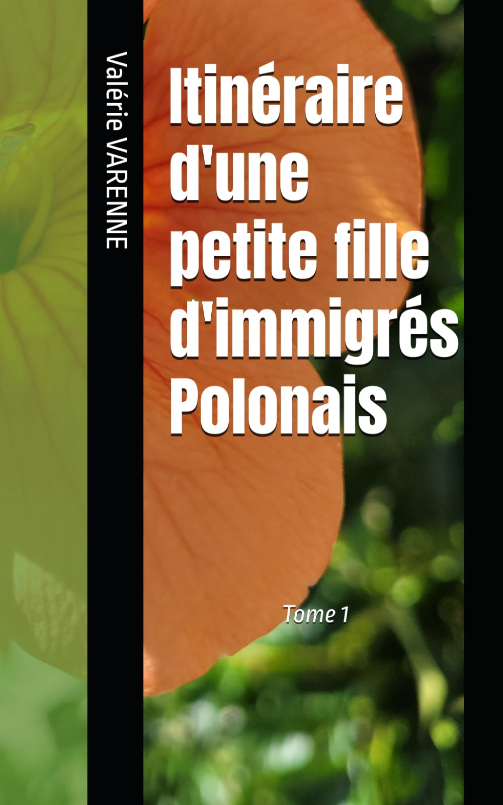 Itinéraire d'une petite fille d'immigrés Polonais book