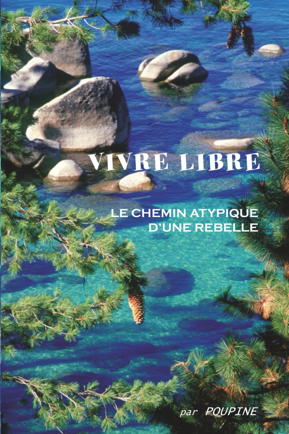 VIVRE LIBRE (Couleur): LE CHEMIN ATYPIQUE D'UNE REBELLE book