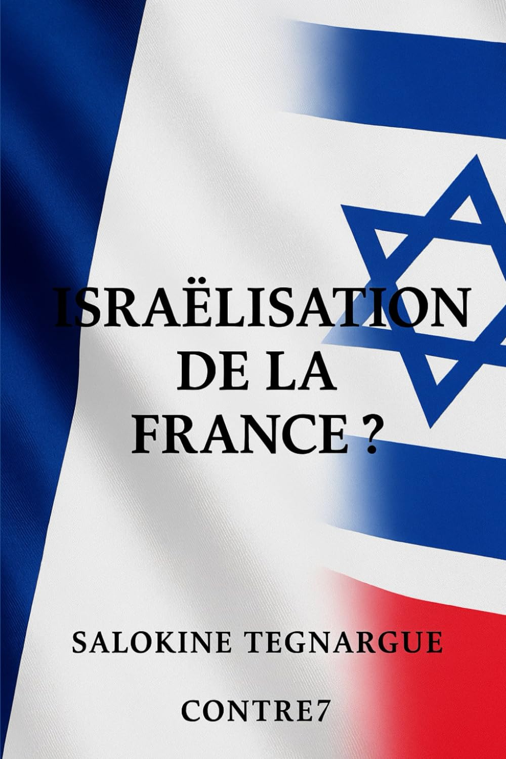 L'israëlisation de la France book