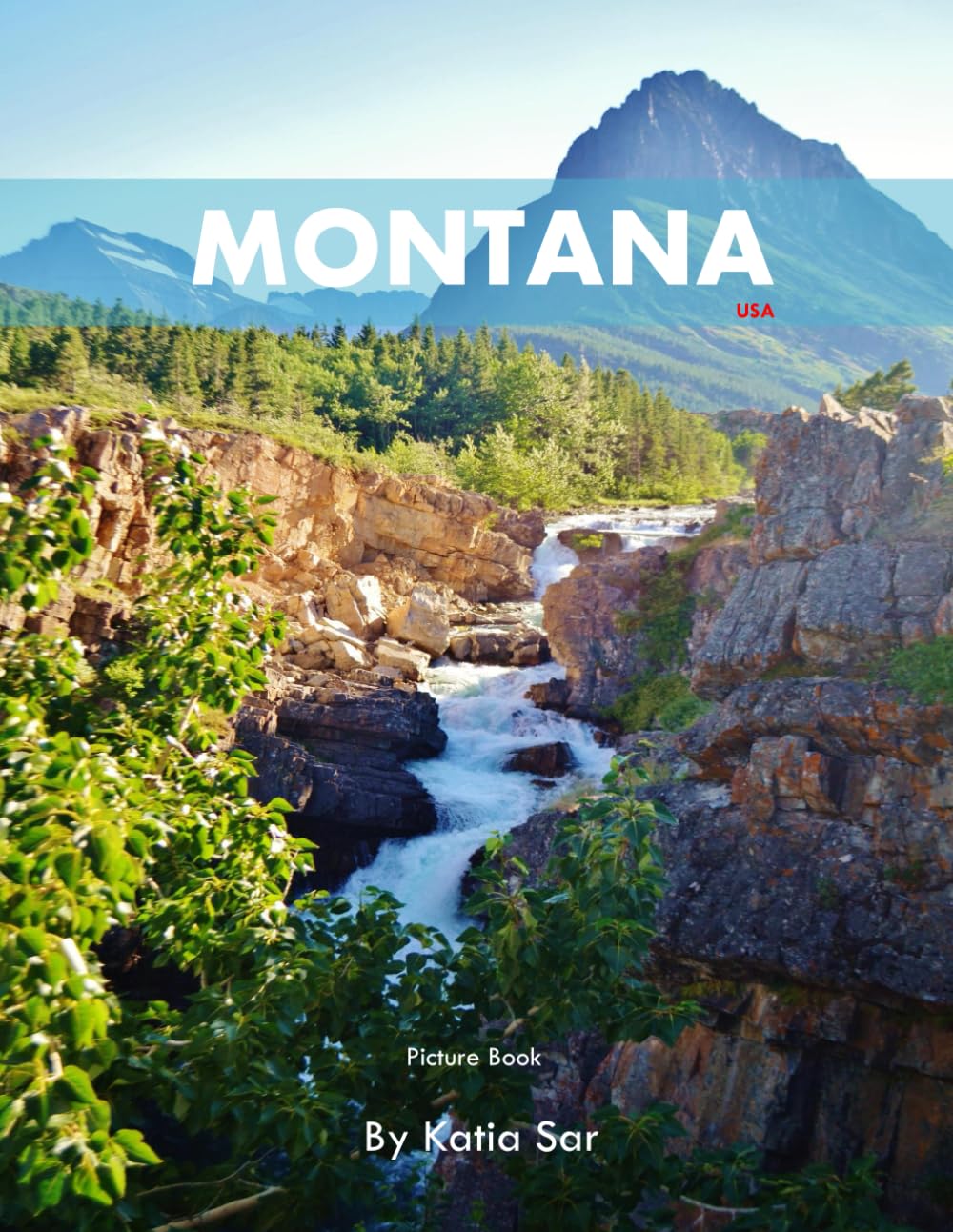Montana: A Perfect Coffee Table Picture Book - Travel and Tourism lovers. Business, Finance & Career