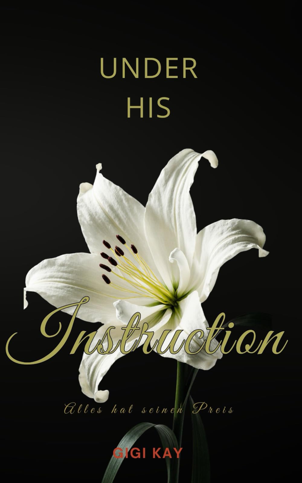 Under his Instruction: Alles hat seinen Preis (White Lily Club Novellas, Band 1) New Adult