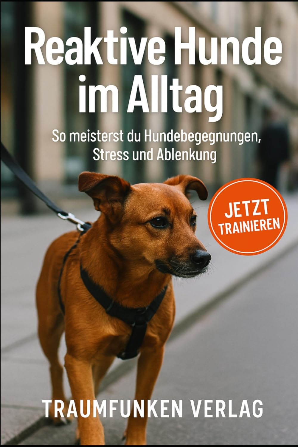 Reaktive Hunde im Alltag: So meisterst du Hundebegegnungen, Stress und Ablenkung Pets