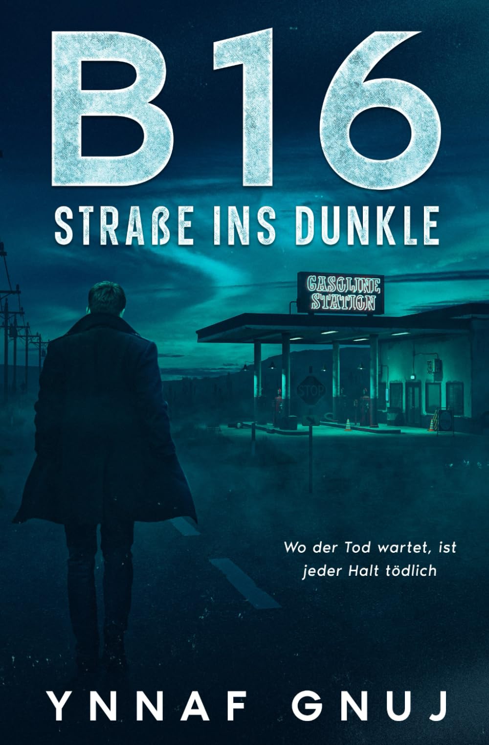 B16 – Straße ins Dunkel: Wo der Tod wartet, ist jeder Halt tödlich book