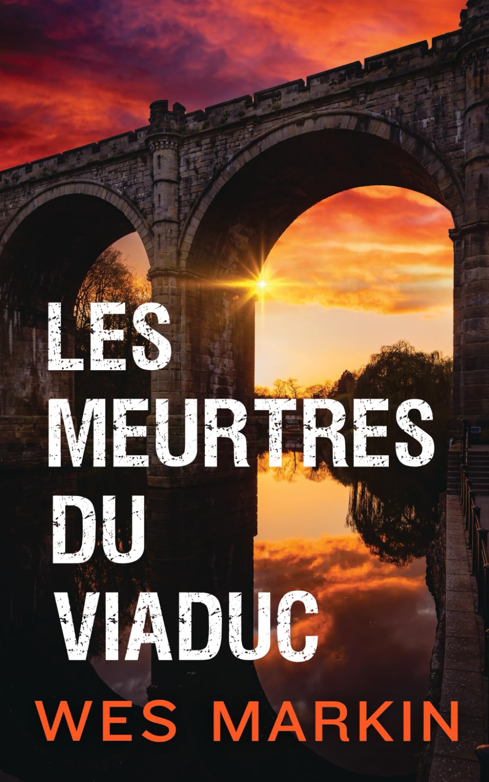Les Meurtres du Viaduc: Crimes du Yorkshire, Tome 1 Detective & CSI